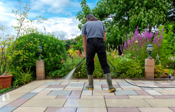Best Winterizing Services  in Lewiston, CA